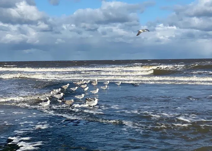 Holiday home Pur Nrn6 Strandnahes Natureingebunden, Familien- Und Hundefreundlich Callantsoog