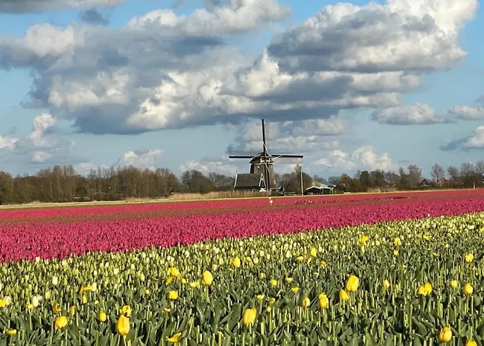 Pur Nrn6 Strandnahes Natureingebunden, Familien- Und Hundefreundlich Holiday home Callantsoog